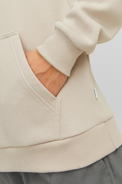 Jack & Jones jjebradley sweat hood noos